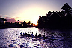 Obraz na stenu ZS - bez pomeru strán